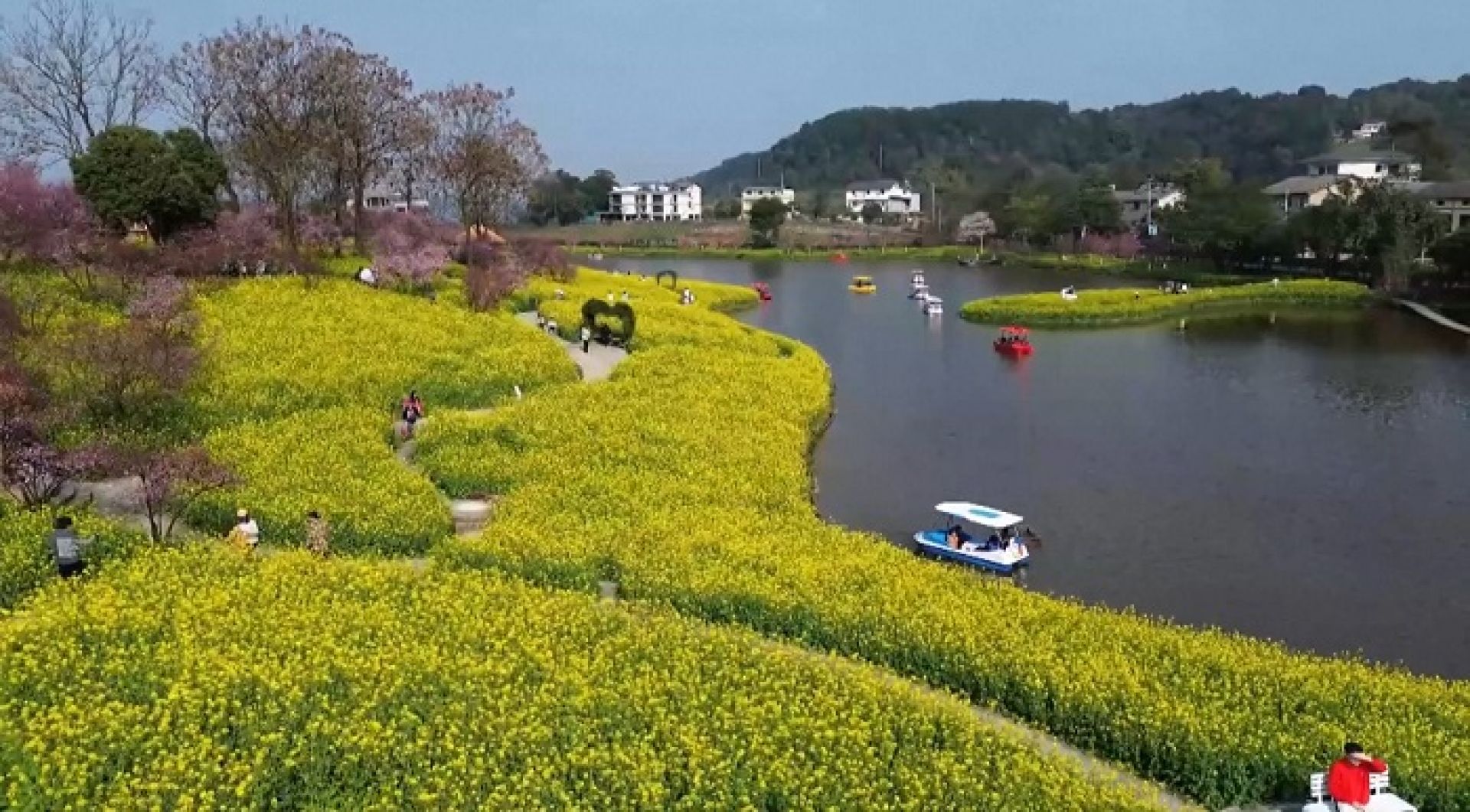 तोरी बारीको सौन्दर्यले बढायो चीनको पर्यटन